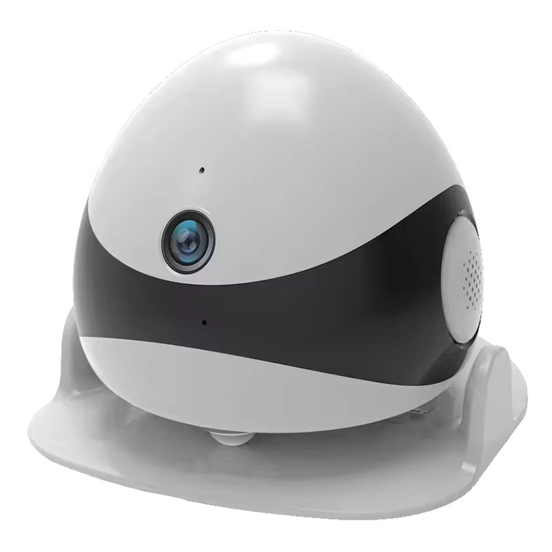 Whole House Mobile Robot