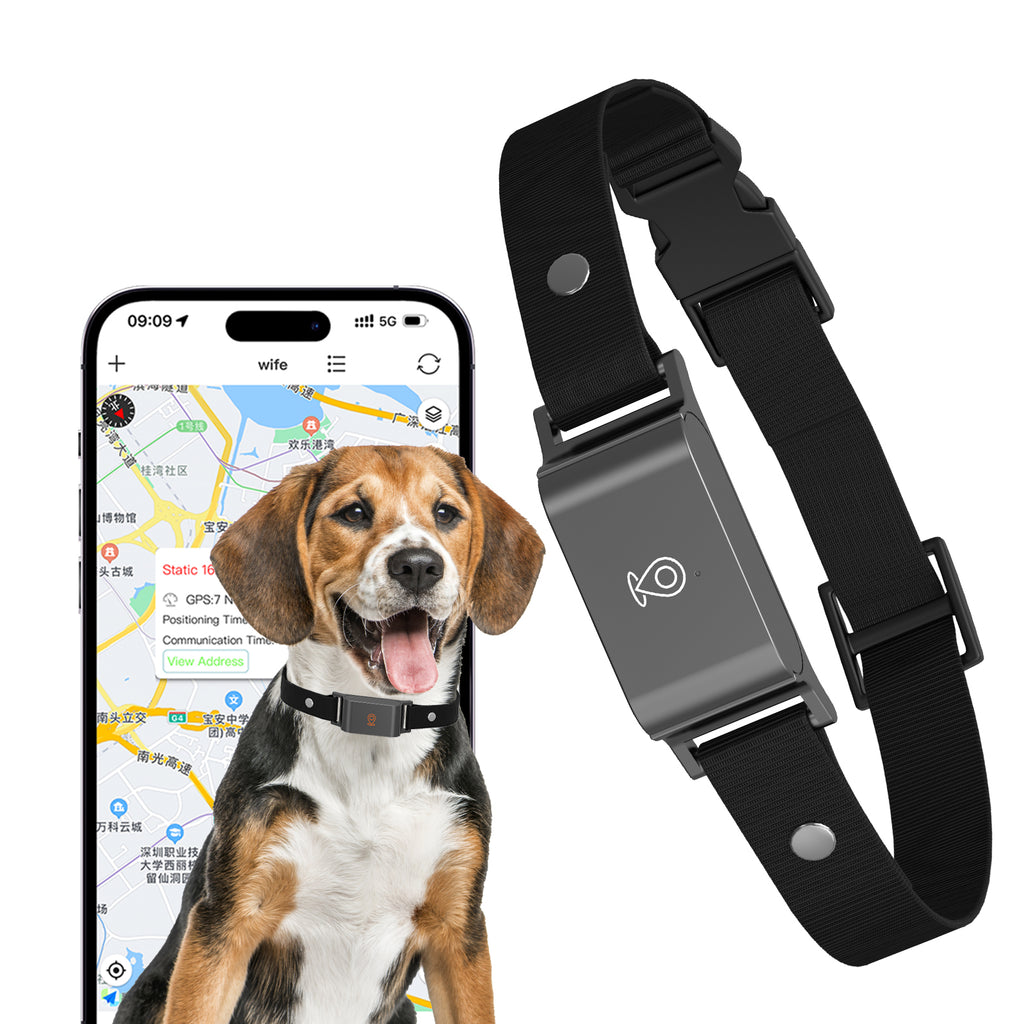 Pet GPS Tracker