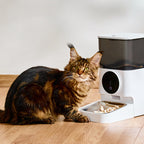 SPF-XT-09  APP Contral Automatic Pet Feeder with HD Camera Portable Smart Pet Feeder Dispenser 4.5L for Dog and Cat