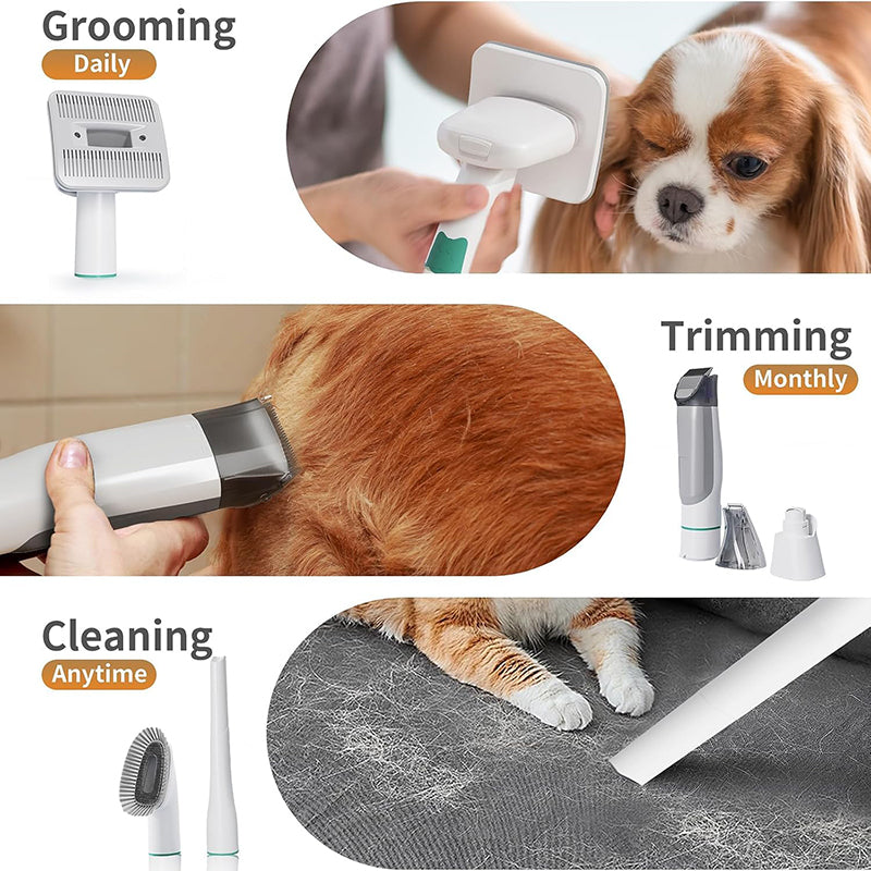 PG-XT-02 Pet Hair Dryer Vacuum Suction Dog Cat Grooming Brush Low Noise Electric Vacuum Cleaner Multifunction Pet Grooming Kit