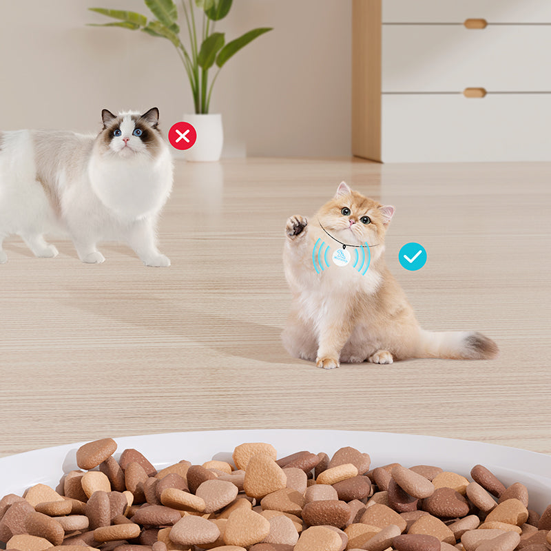 SPF-XT-01  Microchip Pet Feeder