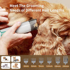 PG-XT-02 Pet Hair Dryer Vacuum Suction Dog Cat Grooming Brush Low Noise Electric Vacuum Cleaner Multifunction Pet Grooming Kit