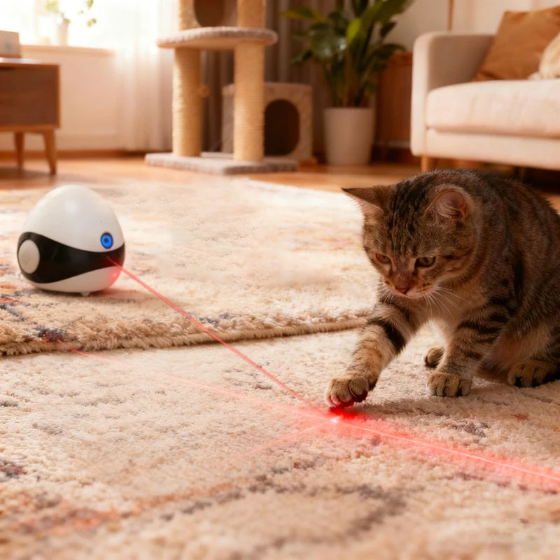 ROBOT-XT-01  Auto Recharge AI Smart Walkable 1080P HD Interactive Pet Cameras & Monitors with Night Vision Wi-Fi Connection and Storage Card