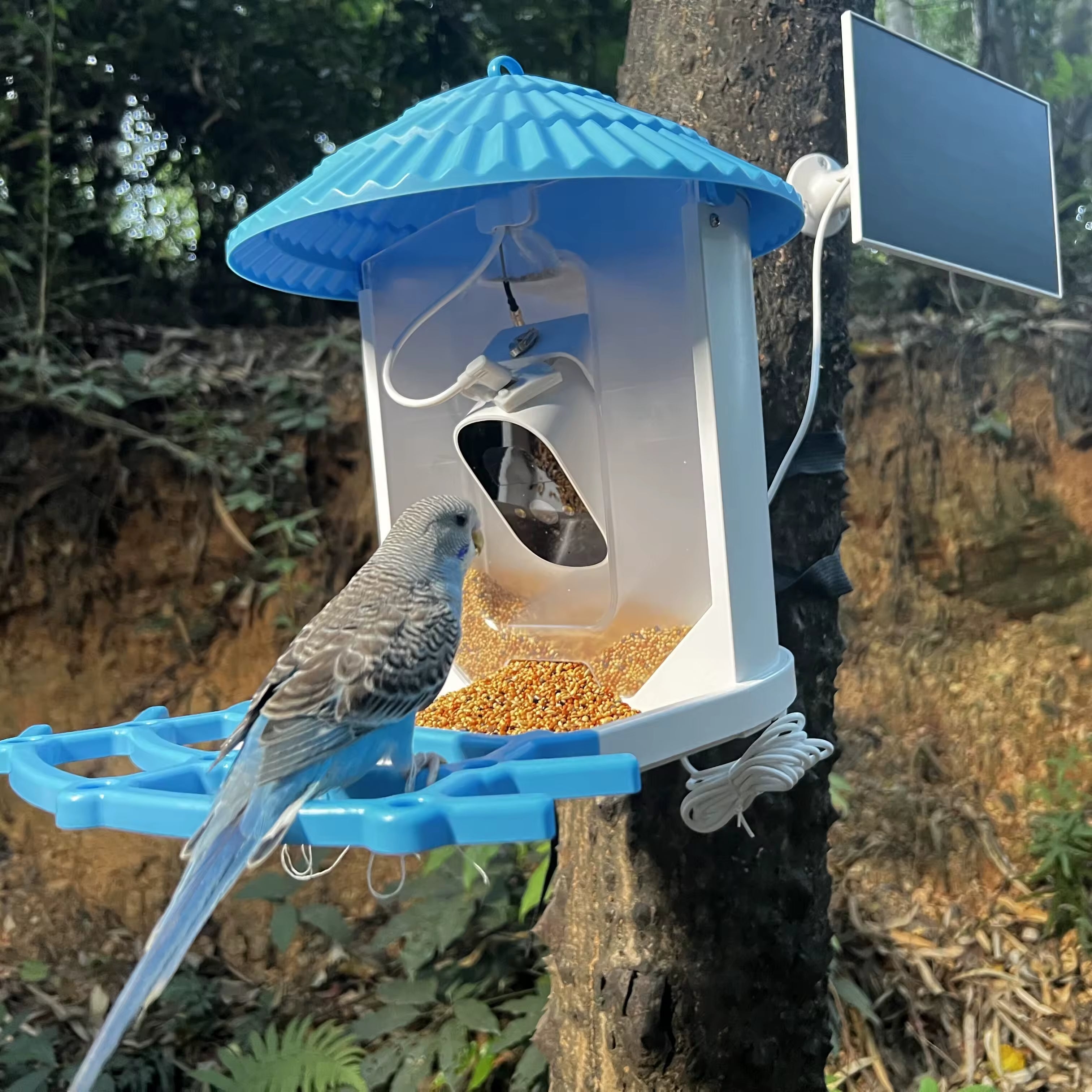 PXT-B06-S   Bird Feeder with Camera 1296P HD AI Identify Smart Bird Feeder Solar Powered Outdoor Gift for Bird Lovers