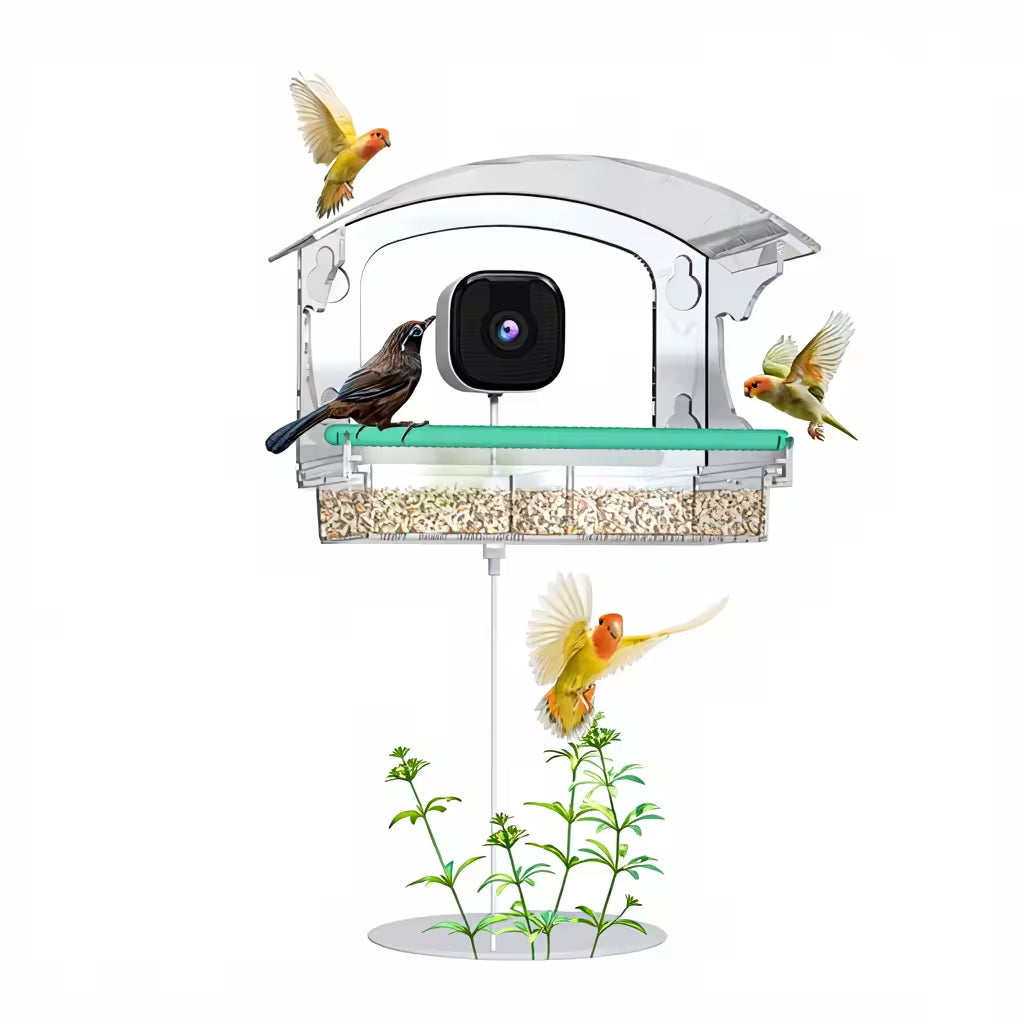 PXT-B01-AI  Smart Bird with AI Bird Recognition Eco-Friendly Plastic Window Bird Watcher Automatic Monitoring Camera Feeder