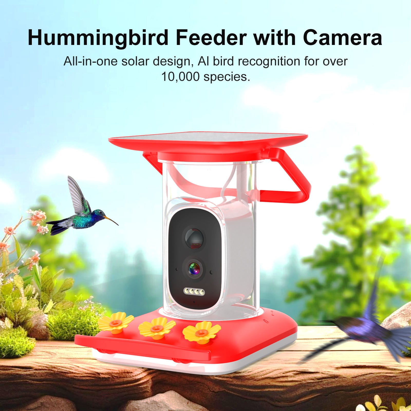 PXT-B09-S  2.5K Solar-Powered Hummingbird Feeder with AI Bird Recognition Camera, IP65 Waterproof Full-Color Night Vision Bird