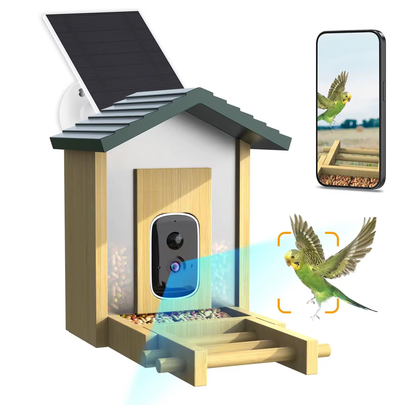 PXT-B10-S  Natural Bamboo Wood Material 5MP HD Pixel 2.5K Resolution AI Recognition Smart Bird Feeder