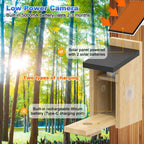 PXT-NB02-S Wifi Smart Bird Feeder Camera Wireless Outdoor Wooden Bird House with 3MP Camera High Quality Wholesale