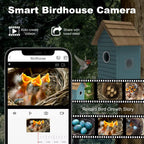 PXT-NB03  Oniya Smart Bird House 3MP HD Photos Inside Wood Bird Hatchery with Camera AI Bird Species Identification