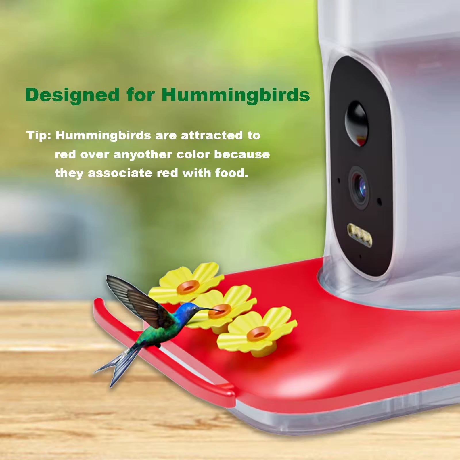 PXT-B08-S New Design Plastic Hummingbird Feeder with Camera Wide Mouth Outdoor Bird Watching Gift for Enthusiasts