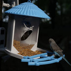PXT-B06-S   Bird Feeder with Camera 1296P HD AI Identify Smart Bird Feeder Solar Powered Outdoor Gift for Bird Lovers