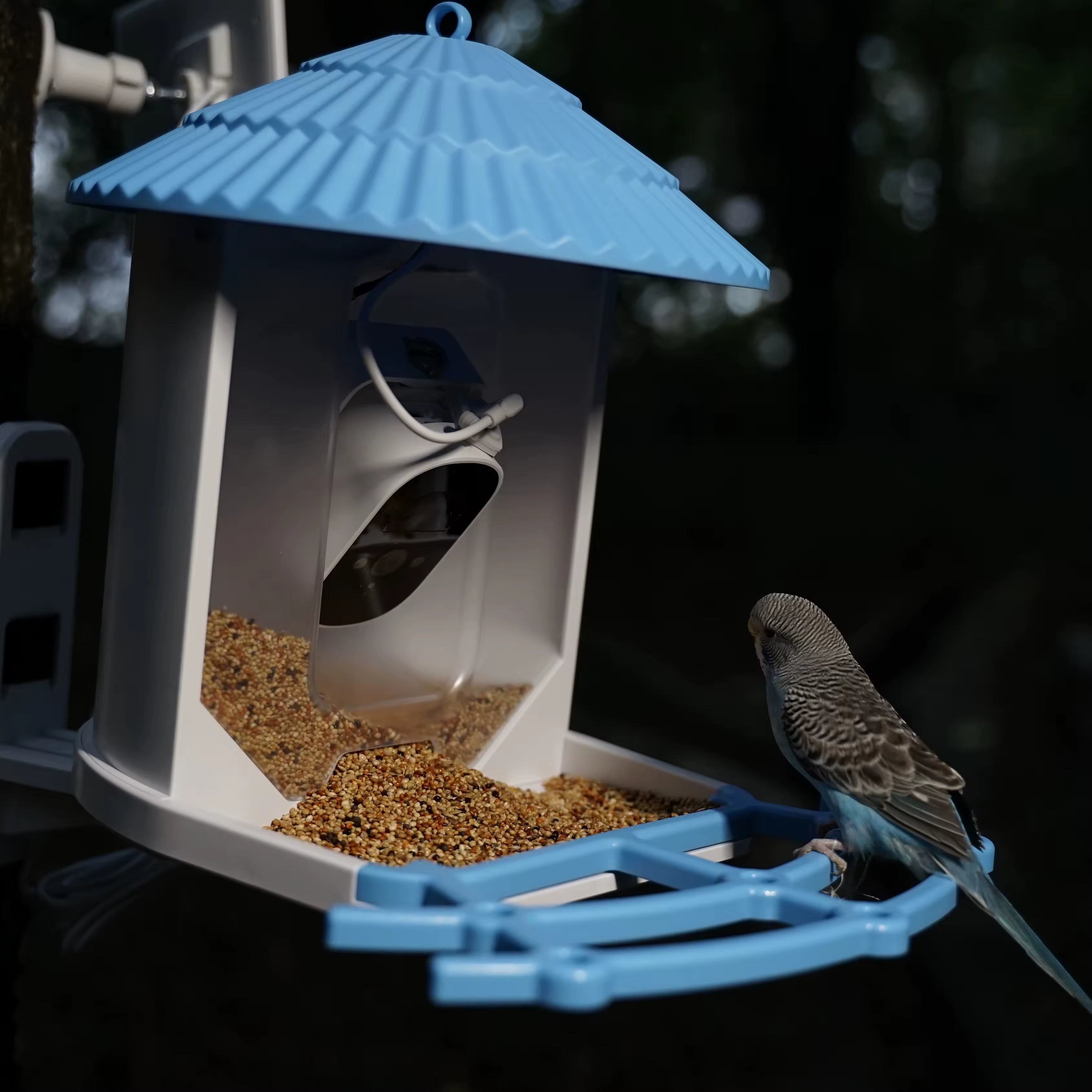 PXT-B06-S   Bird Feeder with Camera 1296P HD AI Identify Smart Bird Feeder Solar Powered Outdoor Gift for Bird Lovers