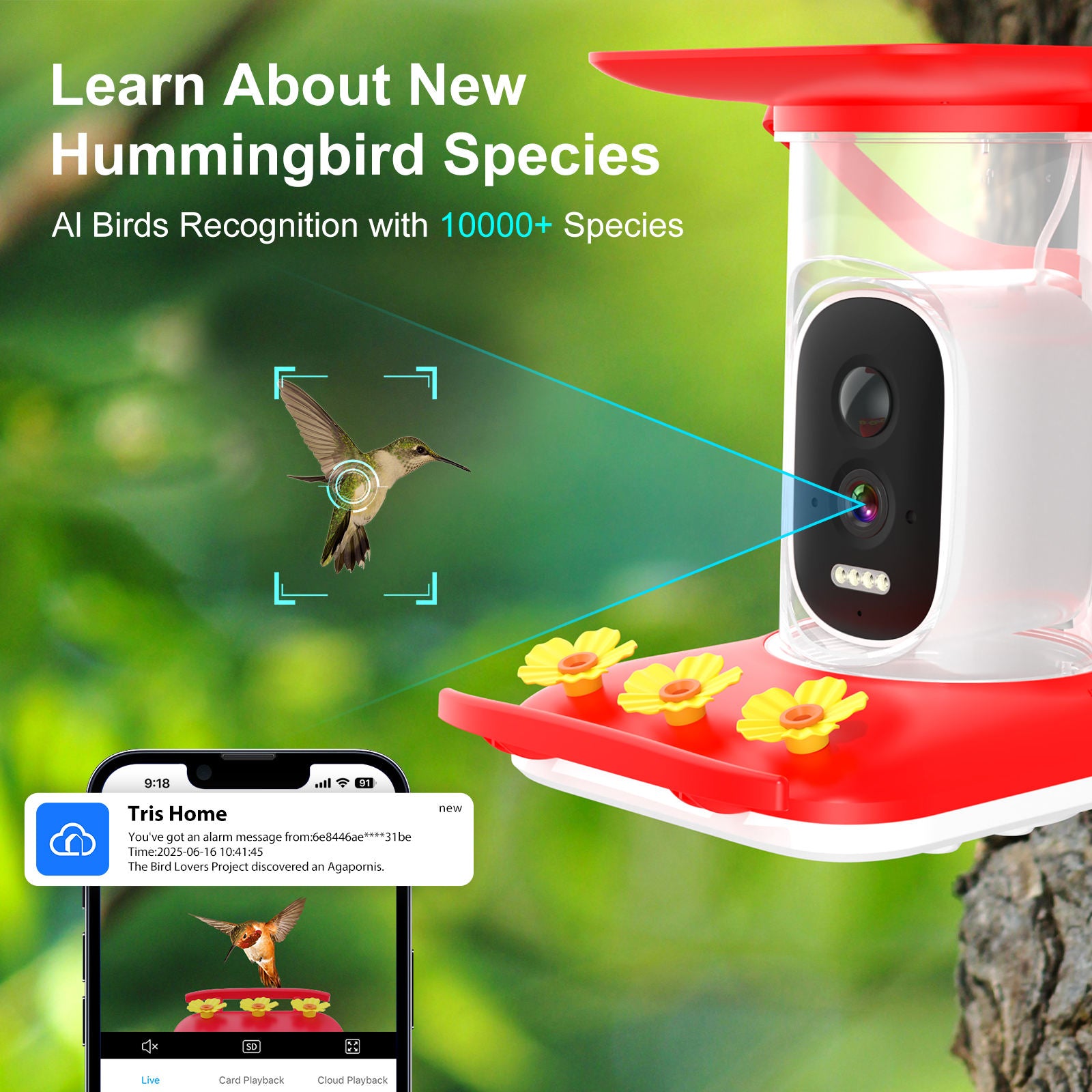 PXT-B09-S  2.5K Solar-Powered Hummingbird Feeder with AI Bird Recognition Camera, IP65 Waterproof Full-Color Night Vision Bird
