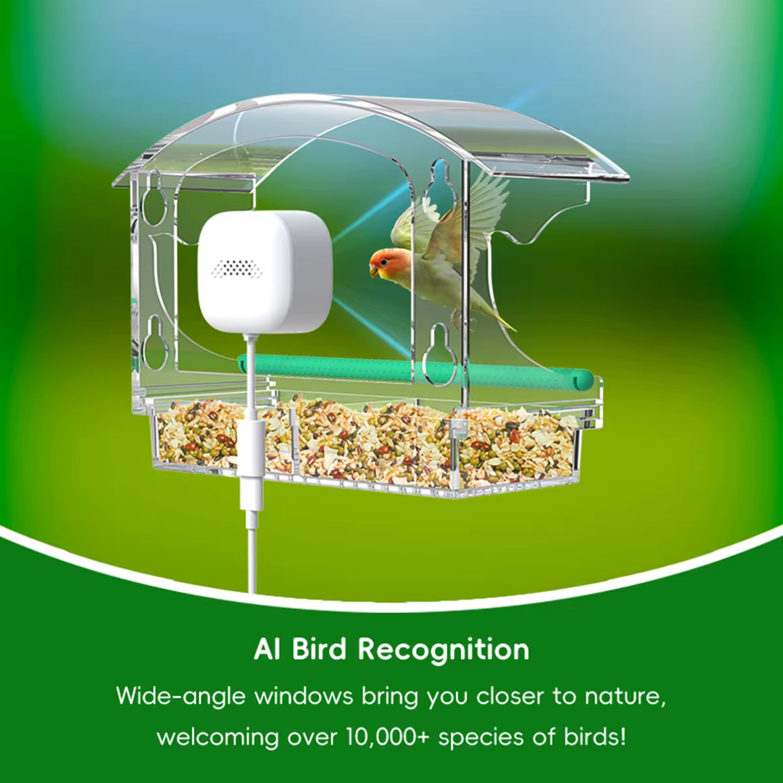PXT-B01-AI  Smart Bird with AI Bird Recognition Eco-Friendly Plastic Window Bird Watcher Automatic Monitoring Camera Feeder