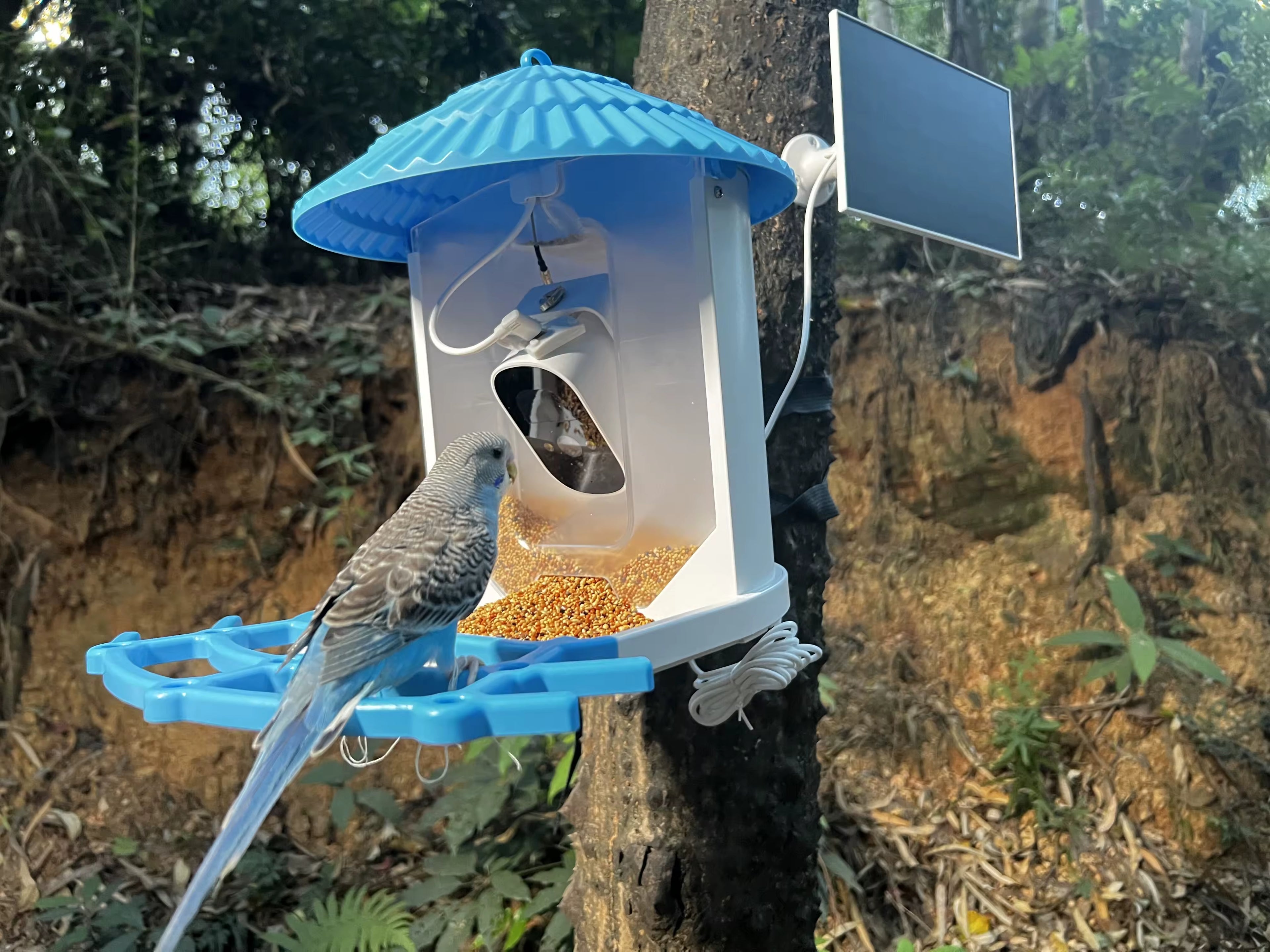 PXT-B06-S   Bird Feeder with Camera 1296P HD AI Identify Smart Bird Feeder Solar Powered Outdoor Gift for Bird Lovers