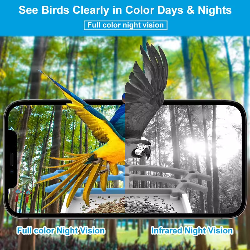 PXT-B02-S  Automatically Charged Intelligent Bird Feeder with Live View Camera Pet Bowl Feeder for Bird Lovers
