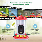 PXT-B08-S New Design Plastic Hummingbird Feeder with Camera Wide Mouth Outdoor Bird Watching Gift for Enthusiasts