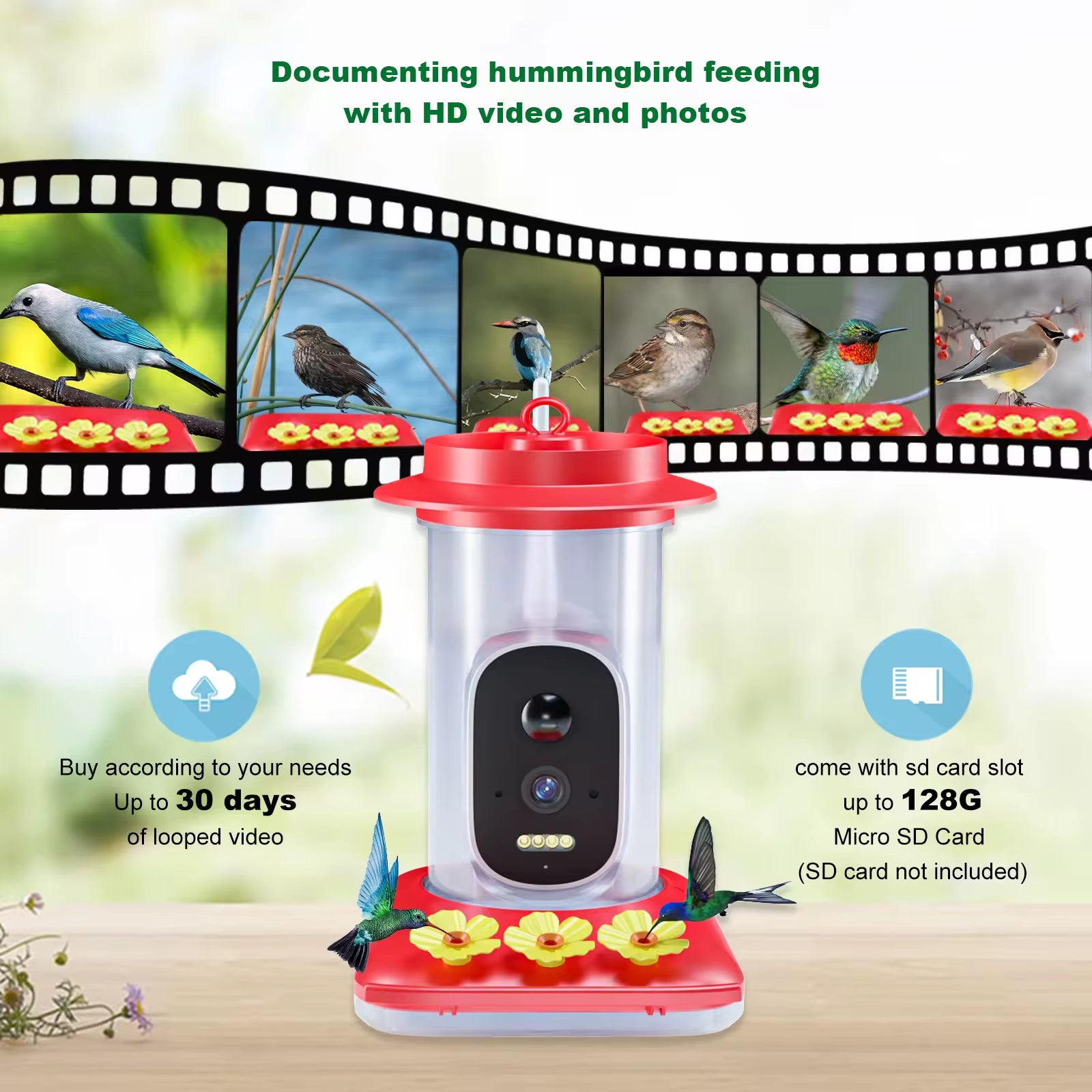 PXT-B08-S New Design Plastic Hummingbird Feeder with Camera Wide Mouth Outdoor Bird Watching Gift for Enthusiasts
