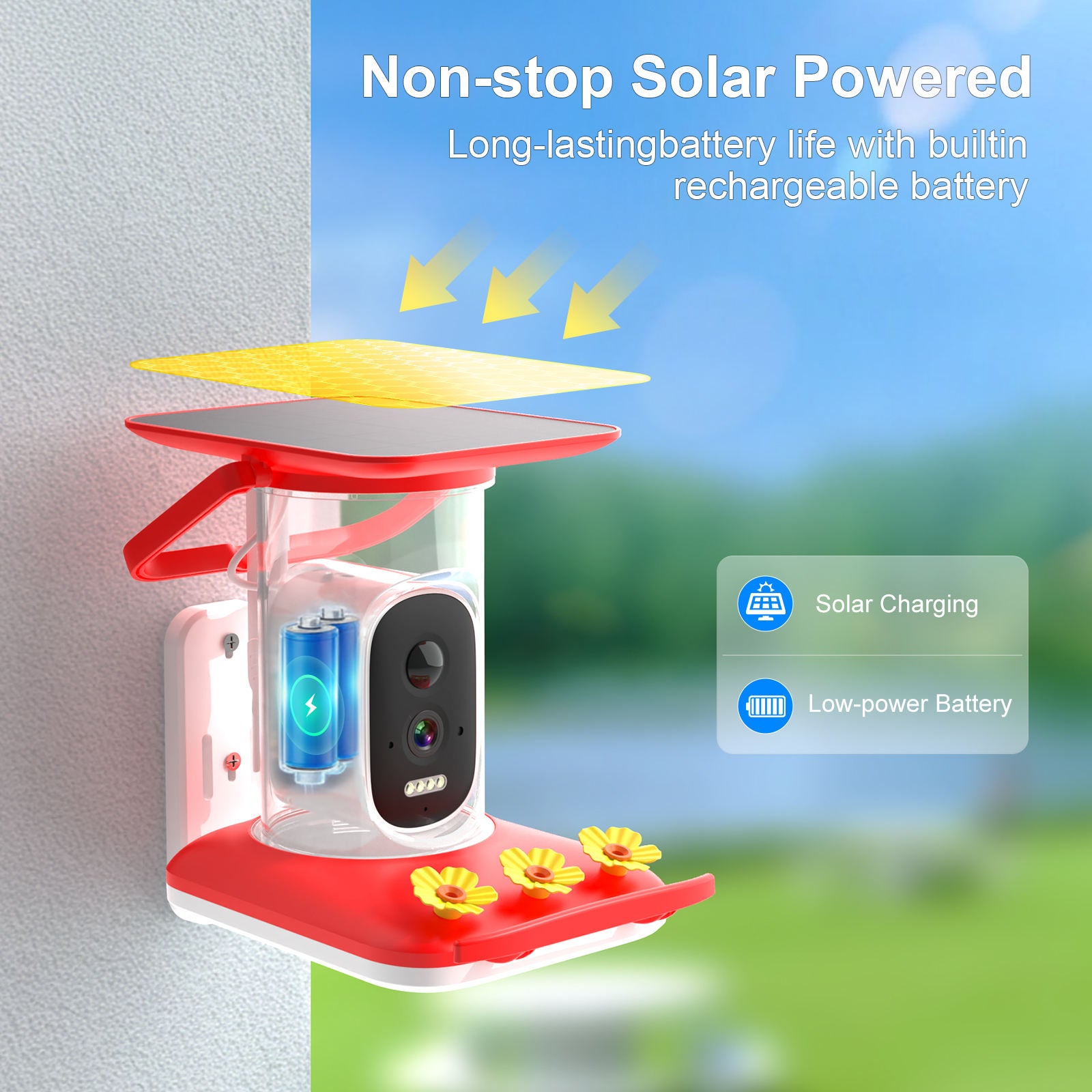 PXT-B09-S  2.5K Solar-Powered Hummingbird Feeder with AI Bird Recognition Camera, IP65 Waterproof Full-Color Night Vision Bird