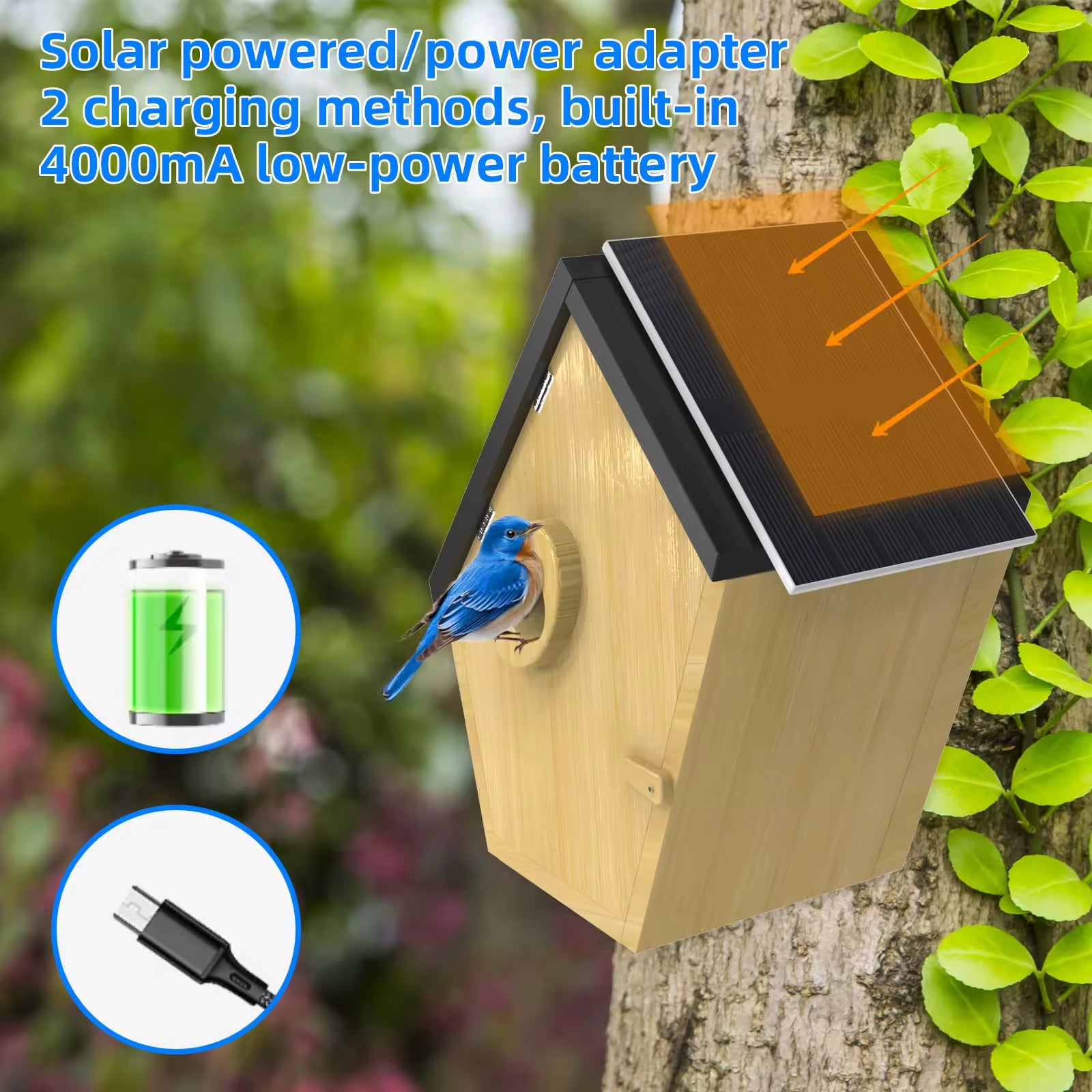 PXT-NB01-S  Visual Bird Hatching House Outdoor Bird Nest AI Smart HD Camera Cross-border