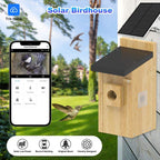 PXT-NB02-S Wifi Smart Bird Feeder Camera Wireless Outdoor Wooden Bird House with 3MP Camera High Quality Wholesale
