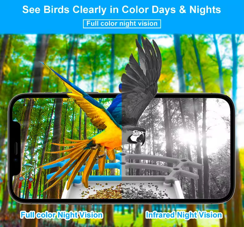 PXT-B04-S Wholesale Solar-Powered Intelligent Recognition Outdoors Automatic Bird Feeder with Night Vision Camera