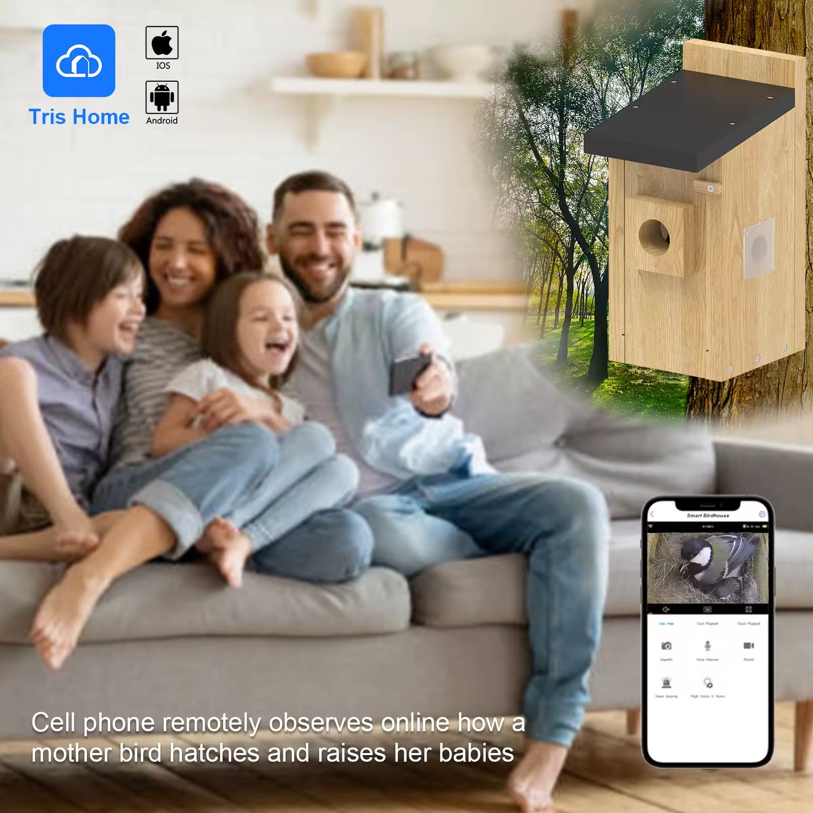 PXT-NB01 Custom Wooden Bird Hatching House with Camera Outdoor Solar Powered Birdhouse Camera Feeder 2024 Hot Sale