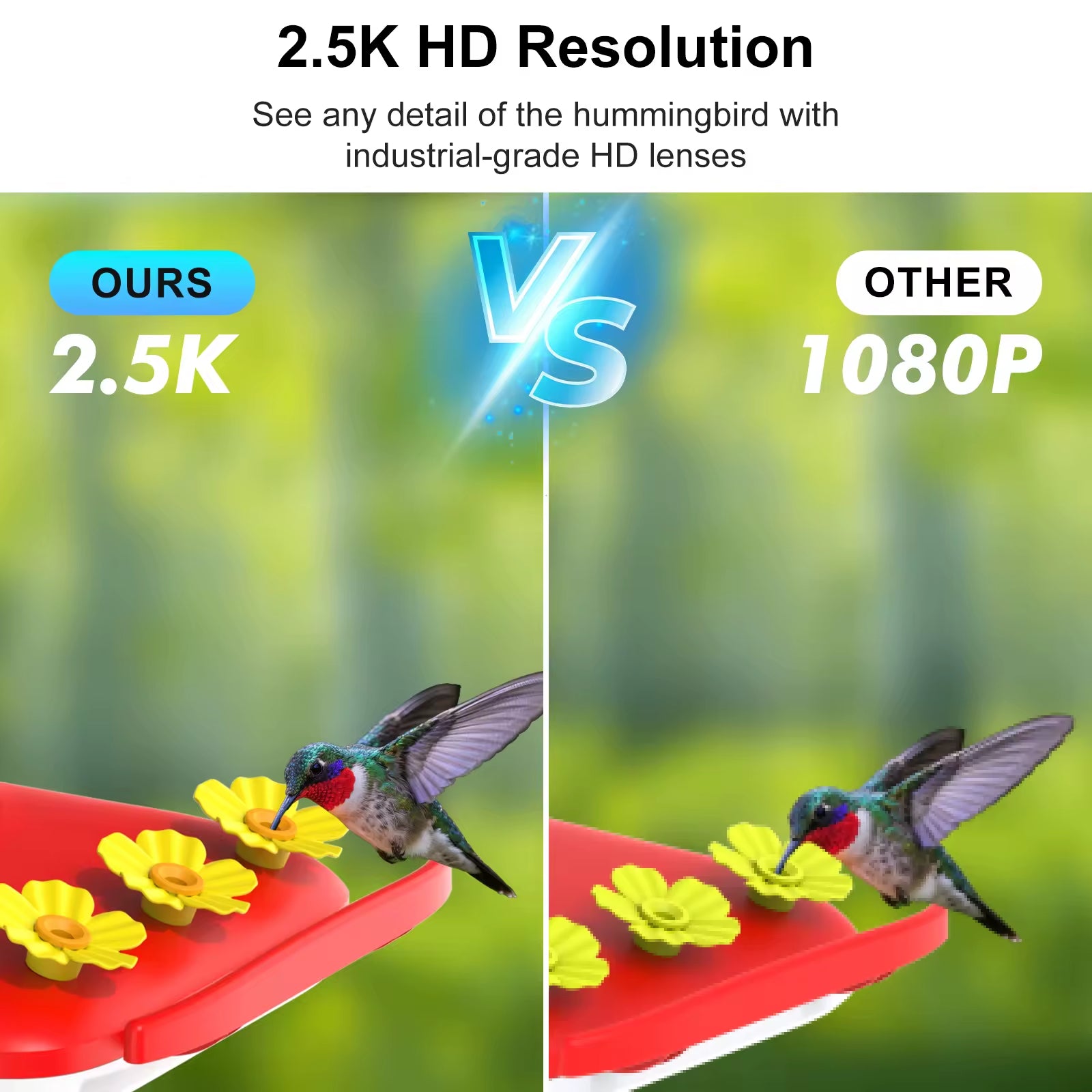 PXT-B09-S  2.5K Solar-Powered Hummingbird Feeder with AI Bird Recognition Camera, IP65 Waterproof Full-Color Night Vision Bird