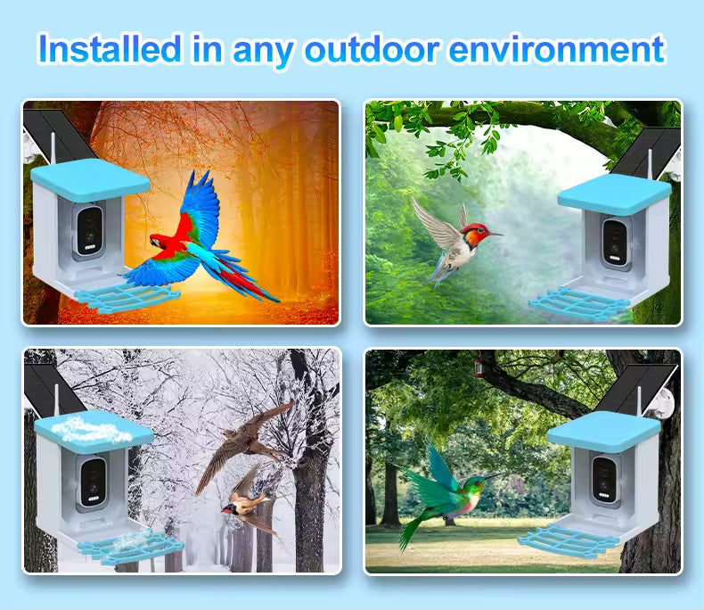 PXT-B04-S Wholesale Solar-Powered Intelligent Recognition Outdoors Automatic Bird Feeder with Night Vision Camera