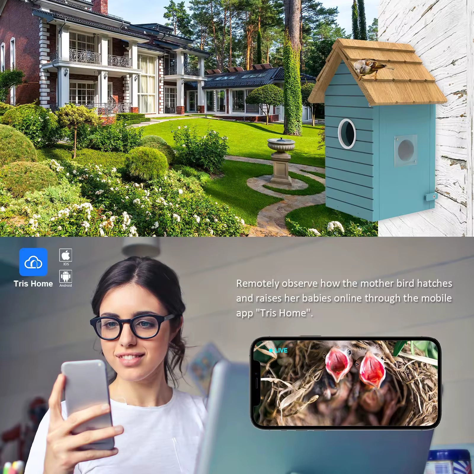 PXT-NB03  Oniya Smart Bird House 3MP HD Photos Inside Wood Bird Hatchery with Camera AI Bird Species Identification