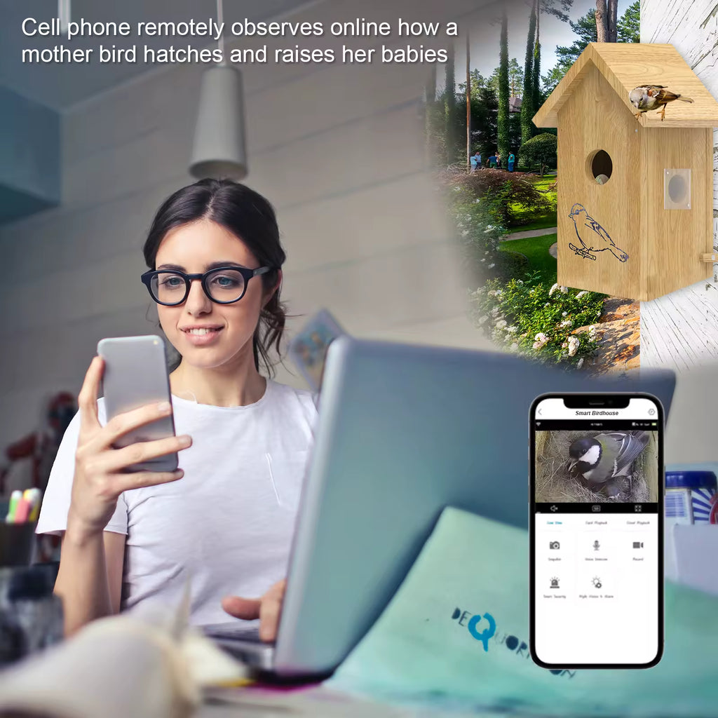 PXT-NB02  1080P Bird Nest Battery Powered Bird Nesting Hatching in Real Time Smart Solid Wood Bird House With Camera