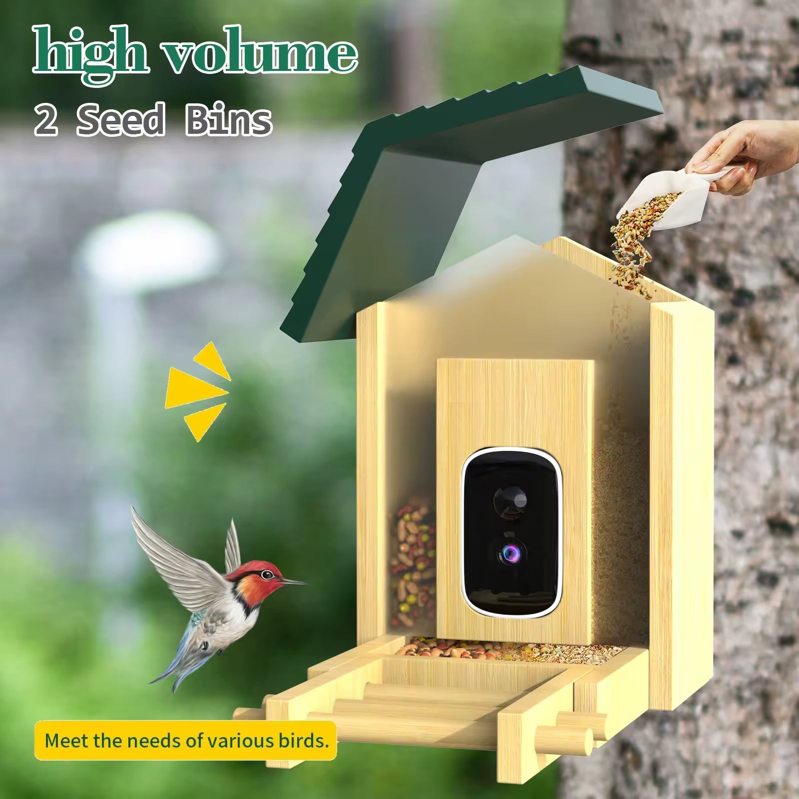 PXT-B10-S  Natural Bamboo Wood Material 5MP HD Pixel 2.5K Resolution AI Recognition Smart Bird Feeder