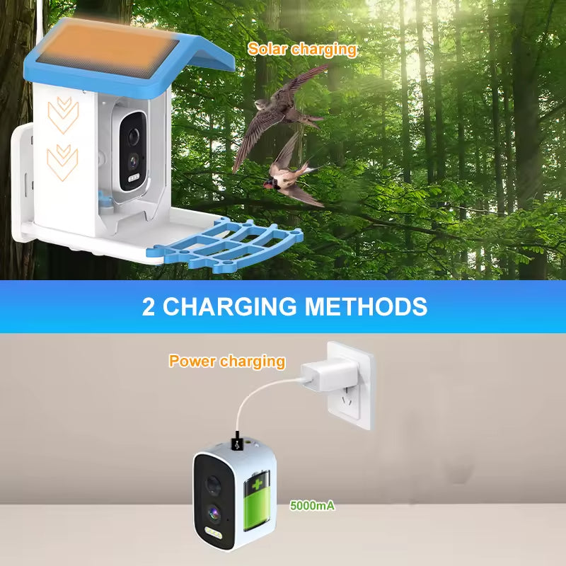 PXT-B02-S  Automatically Charged Intelligent Bird Feeder with Live View Camera Pet Bowl Feeder for Bird Lovers