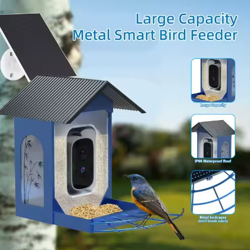 PXT-B11-S  1.5L IP66 Waterproof Outdoor Use AI Smart Bird Feeder Camera with Squirrel Proof Solar Powered 5MP HD Night Vision, App Control