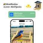 PXT-B10-S  Natural Bamboo Wood Material 5MP HD Pixel 2.5K Resolution AI Recognition Smart Bird Feeder