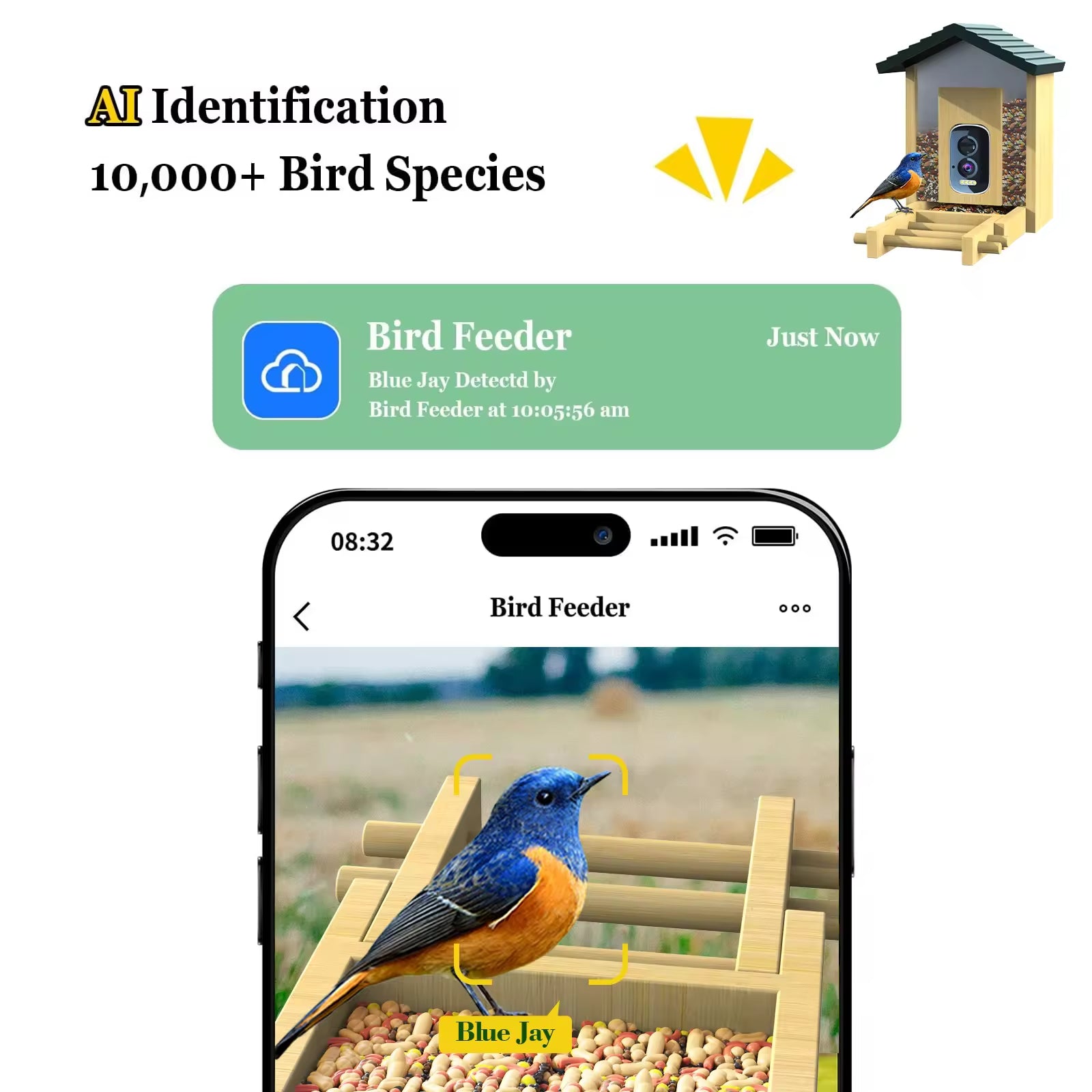 PXT-B10-S  Natural Bamboo Wood Material 5MP HD Pixel 2.5K Resolution AI Recognition Smart Bird Feeder