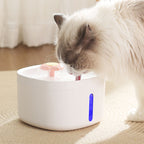PXT-WF06   2.6L Ultra Quiet Cat Drinking Fountain with Filter Automatic Pet Water Fountain Cat Water Fountain with LED Light